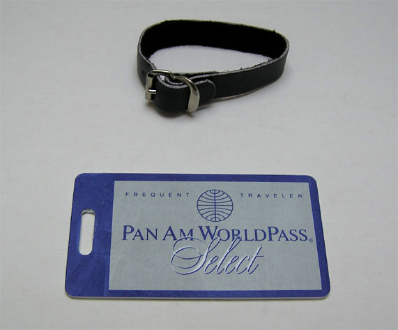 ”Worldpass